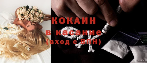 стаф Тында