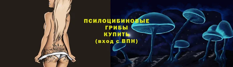 где купить наркоту  Льгов  Галлюциногенные грибы Magic Shrooms 